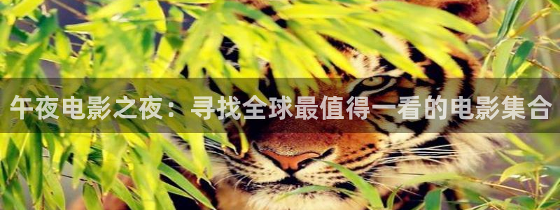 yyy4480青苹果影院