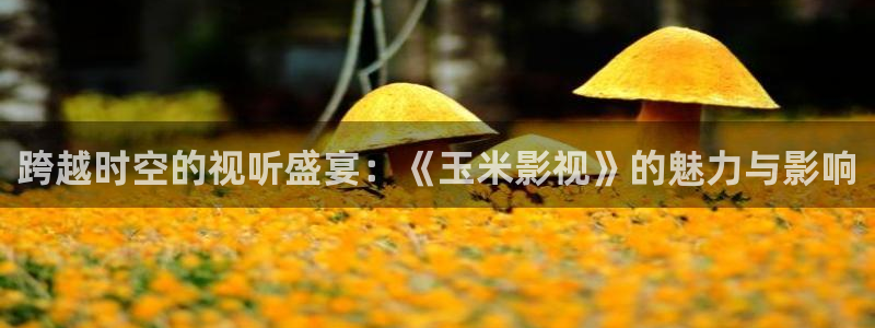 yy4480午夜场理论