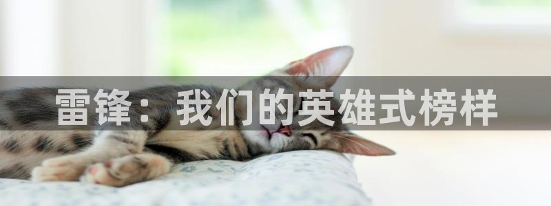 xyy4480青苹果影院