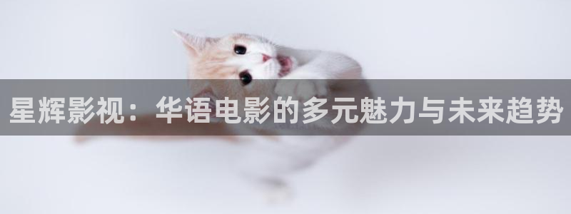 yy4480影视电视剧