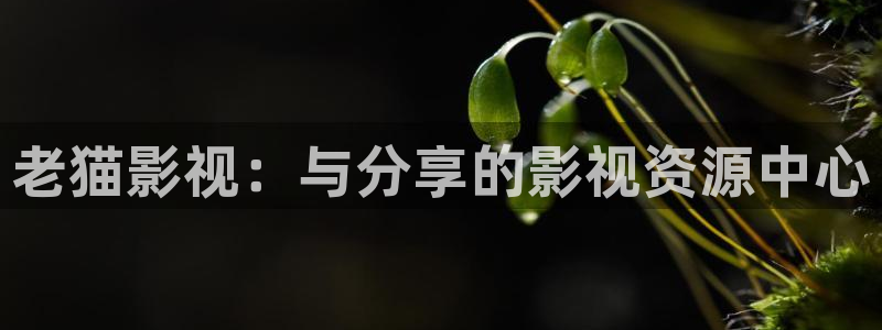 yy4480樱桃
