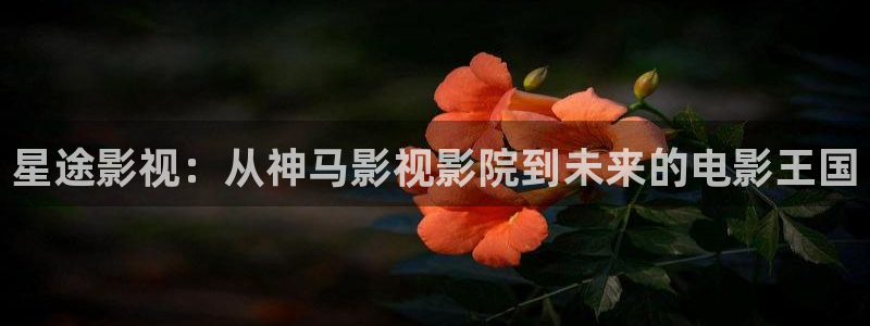 yy4480青苹果影院电视剧