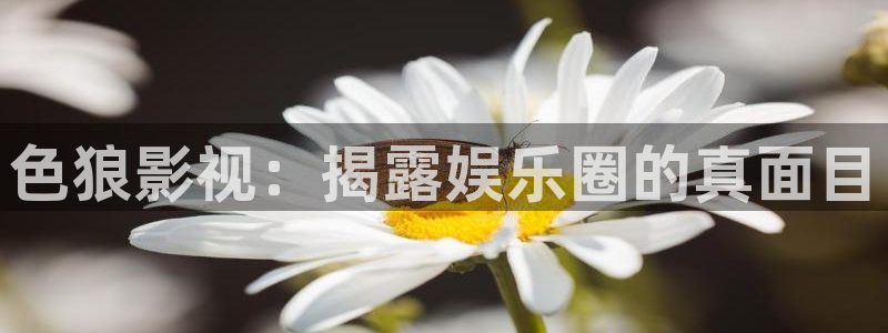 yy4480首播影院青苹果