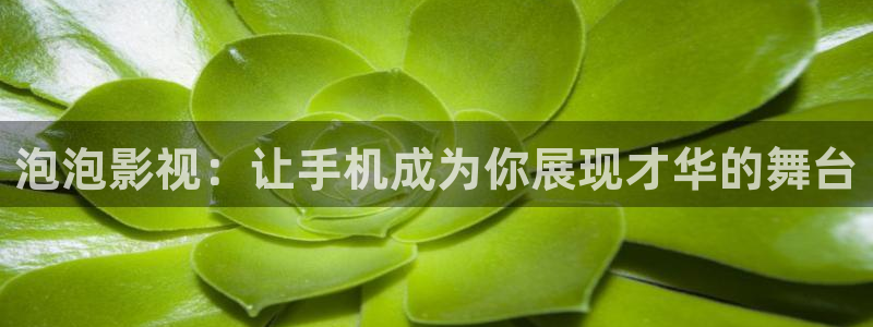 yy4480网站
