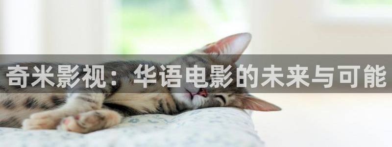 yy4480私人影院免费观看