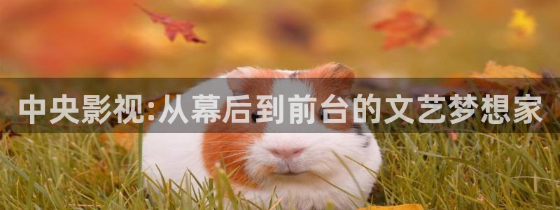 yy4480首播影院青苹果