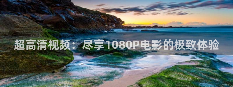 yy4480免费